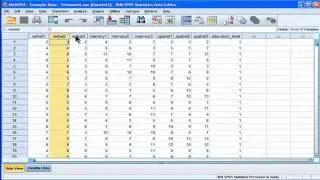 MANOVA - SPSS (part 1)