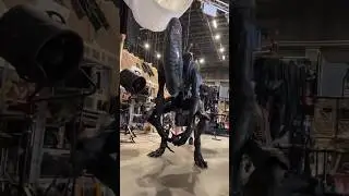 Alien Romulus Xenomorph Animatronics #robots #animatronics #robotics