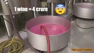 10 most expensive wines ever sold| दुनिया की सबसे महंगी शराब | (1 बोतल शराब = 1 फरारी)