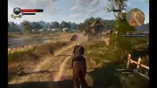 witcher 3 GTX 950 i3 4170