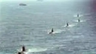 Brazil Navy Marinha do Brasil Armada - v2