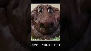 #бобр