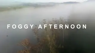 Foggy afternoon - 4K Cinematic Video