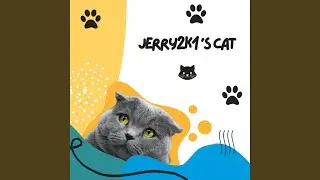 Lazy Cat Jamboree