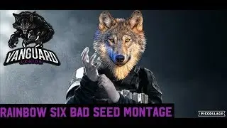 Rainbow Six Siege Bad Seed Montage