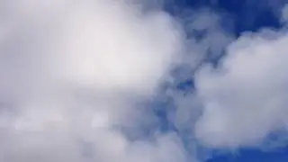 Ворона атакует Орла The crow attacks Oryol