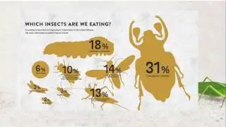 Talk: Insekten als Lebensmittel