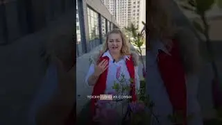 17 апреля 2024 г.