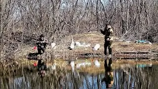 ЭТИ ЗАТОНЫ ПОЛНЫ РЫБЫ ,РЫБАЛКА НА ПОПЛАВОЧНУЮ УДОЧКУ