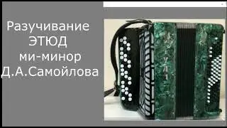 Этюд ми минор Д Самойлова