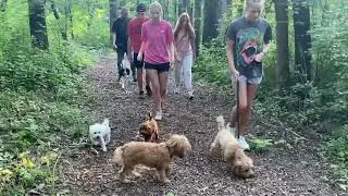 Family Walks
