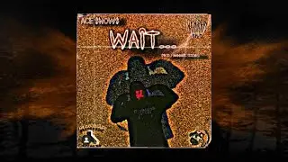 ACE $NOW$ - WAIT (PROD. SHAMANIC SICKNESS) LYRICS