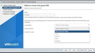 VMWare vSphere Datacenter Series -  Managing vSphere ESXi 6.x