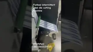 Wanjie WJMQ-350 Flatbed high speed intermittent label die cutting machine #diecuttingmachine