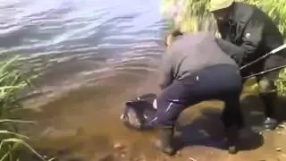 Красивая рыбёха!