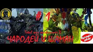 Total war Warhammer 2 (Co-op) - чародей и шаман 