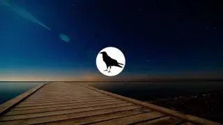 VEXENTO - Sentimento [NO COPYRIGHT MUSIC]