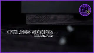 Owlabs spring | Typing test