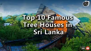 Top 10 Famous Tree Houses in Sri Lanka