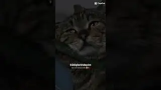 BEN GERİ DÖNDÜMMM 🥹🫀 