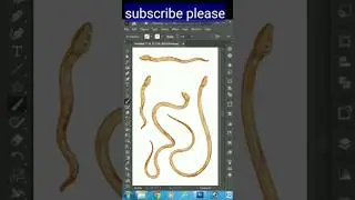 Adobe Illustrator 2025 Tips - How to used Brushes Tool 