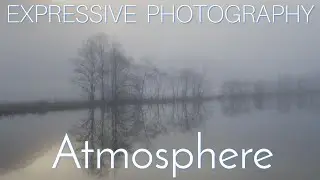 Expressive Landscape Photography: Fog and the Zen of Art