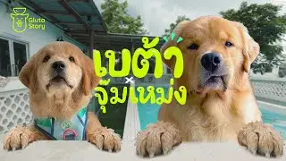 เบต้า × จุ๊มเหม่ง - เบต้าสตอรี่ 04