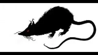 House Wires Vs. Rodents: A Shocking And Dangerous Battle!
