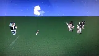 Minecraft animation