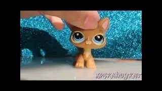 ❤LPS: Unboxing Pet #3578!❤