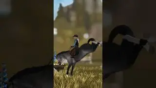 🥴🥴🥴 