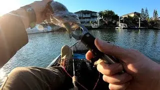 Flathead Fishing In Gold Coast Canals| Testing Megabass Custom Worm 3 Inch Hazedong Shad