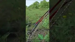 Успел взять лук Scum 0.6 