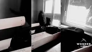 Hoca ya ödev vardı dediğimde sınıf çanta yağmuruna tuttu beni