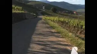 26e km : montée vers Katzenthal, principale difficulté du parcours.