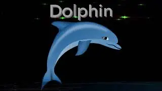 The Dolphin Spirit Animal. | Meaning of Spirit Animal Symbols.