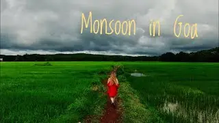 Гоа в сезон дождей. Monsoon in Goa. Фотограф и видеограф в Гоа! 