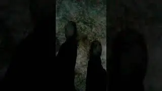 Первый лёд 18.11.2020