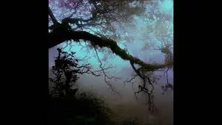 [SOLD] Dark Ambient Lucki Type Beat - "2007" (Prod.Nos1n)