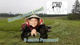 Китайцы захватили Якутию! Китаец косит сено вместо Русского!
