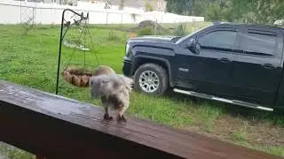 супер тонкая талия за пять минут