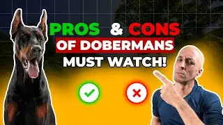 Doberman Pinscher: The Pros and Cons You Need to Know!