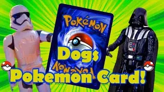 DVAD: Dogs Pokemon Card!