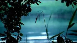 Solar Fields - Breeze