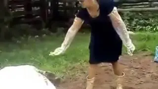 Не буди спящую корову