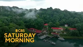 Inside the Smithsonian's tropical forest lab