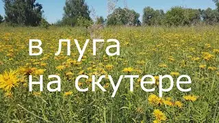 Оседлала железного коня и по родным просторам.