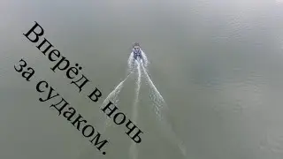 Вперёд в ночь за судаком.