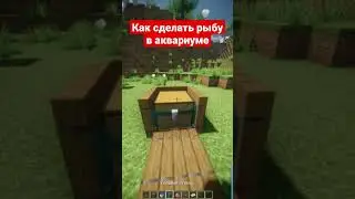 рыба в аквариуме 