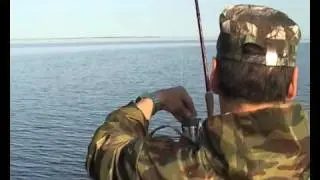 Схватка с сомом - Fight with a catfish